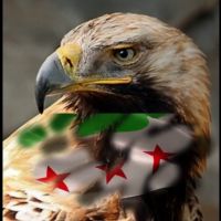 نـور