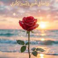 Tala